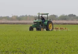 Campo, sin financiamiento