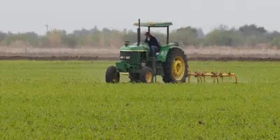 Campo, sin financiamiento