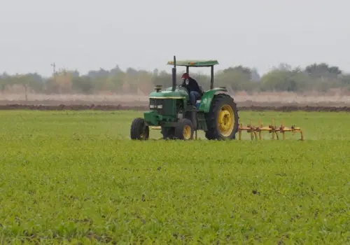 Campo, sin financiamiento
