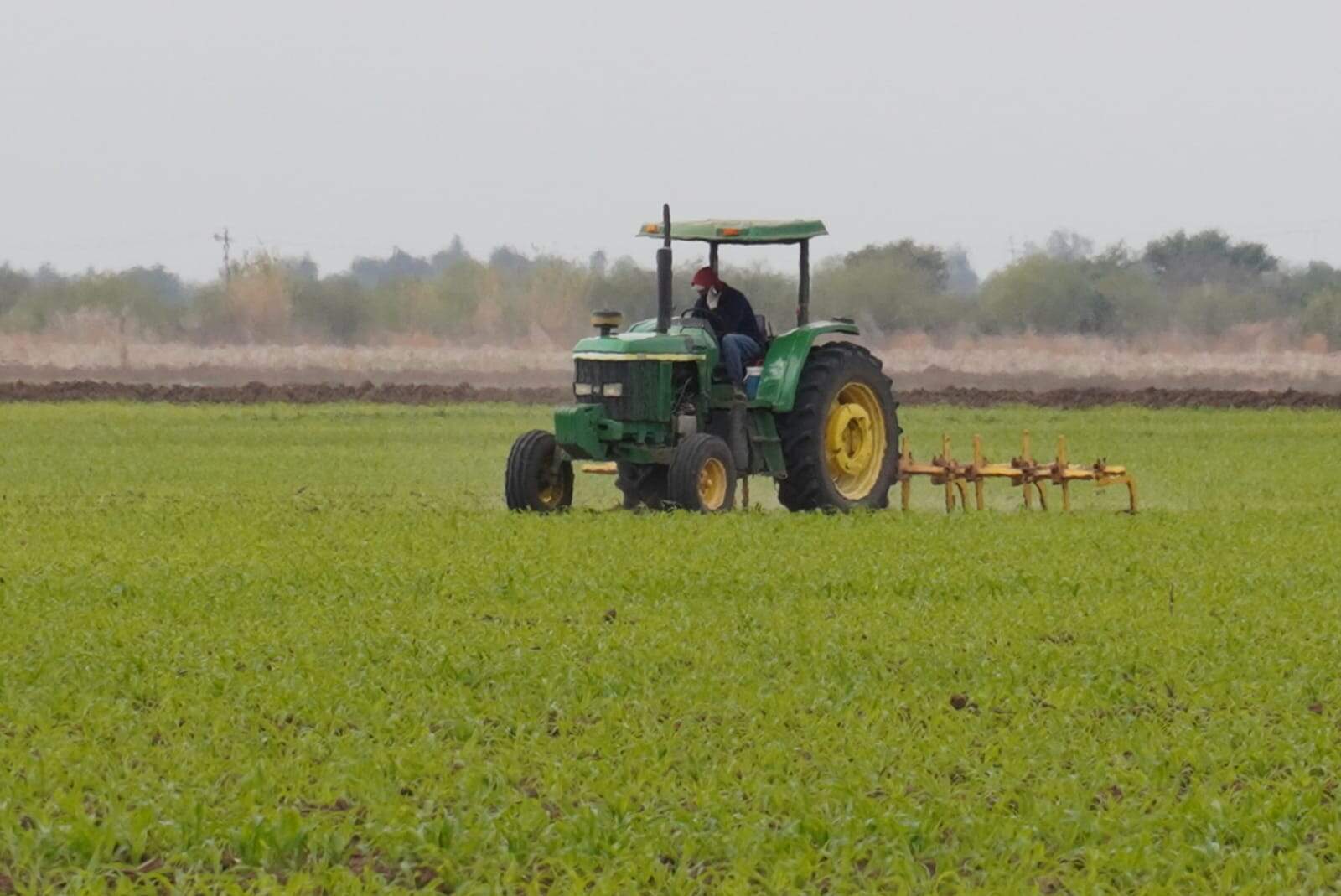 Campo, sin financiamiento