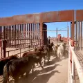 Se agudiza la crisis, ante nuevo cierre de frontera