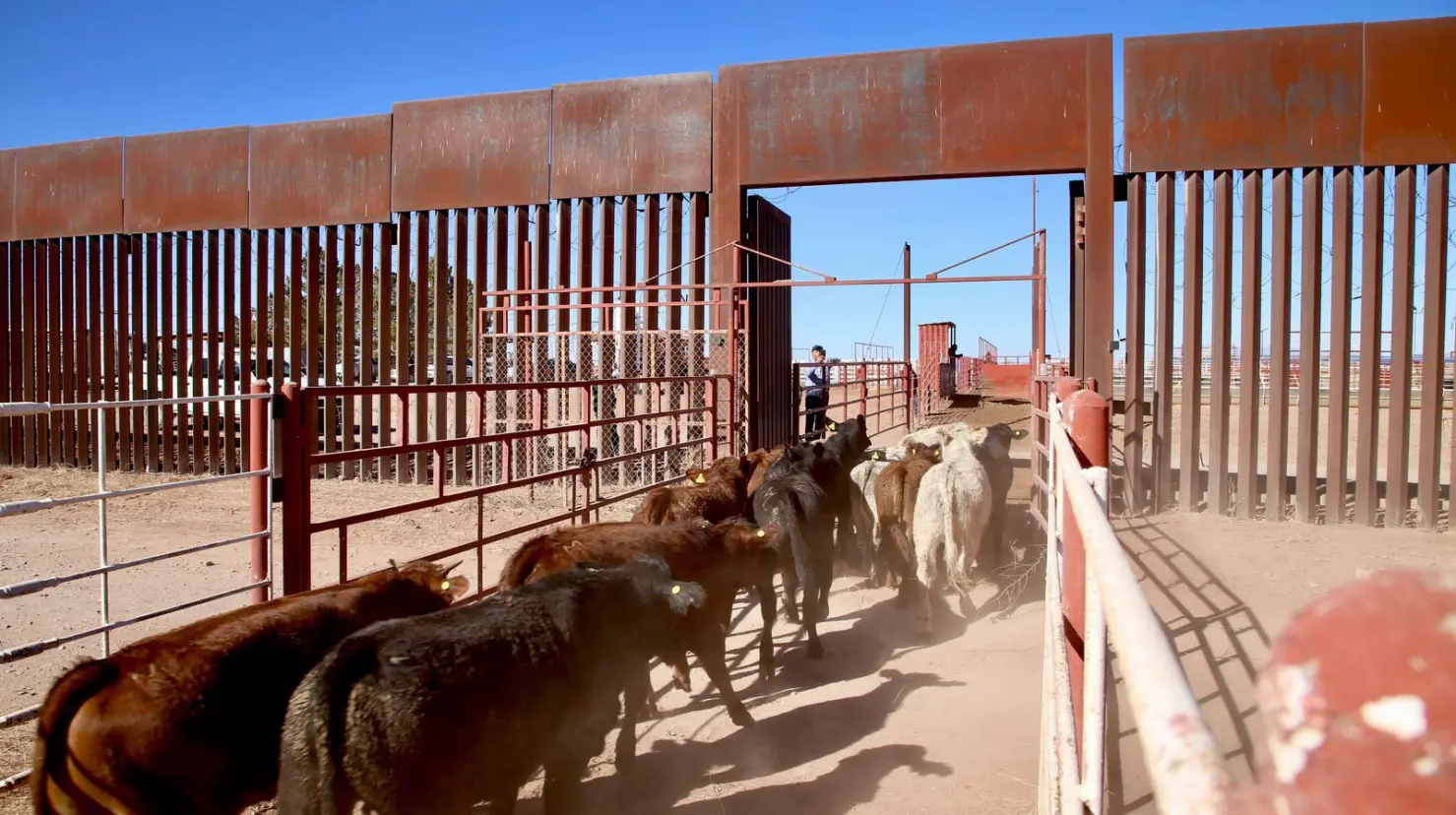 Se agudiza la crisis, ante nuevo cierre de frontera