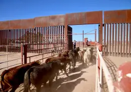 Se agudiza la crisis, ante nuevo cierre de frontera
