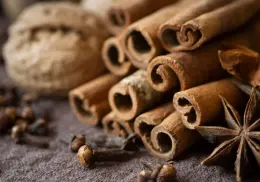 ¿Cuáles son las propiedades curativas de la canela y cómo se puede utilizar?
