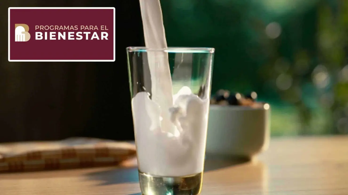 ¿Cuánto cuesta la Leche del Bienestar y quiénes pueden acceder a ella?