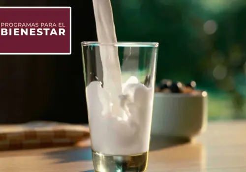 ¿Cuánto cuesta la Leche del Bienestar y quiénes pueden acceder a ella?