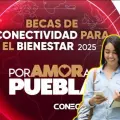 Beca de Conectividad 2025: ¿quiénes pueden acceder a una tarjeta SIM con redes sociales?