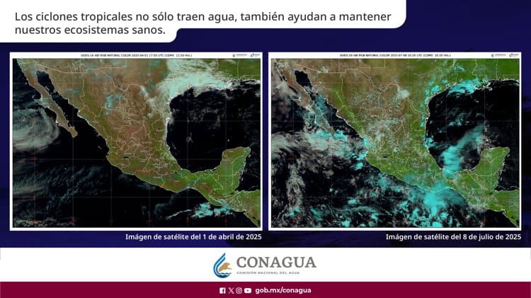 imagen-cuerpo imagen-cuerpo
