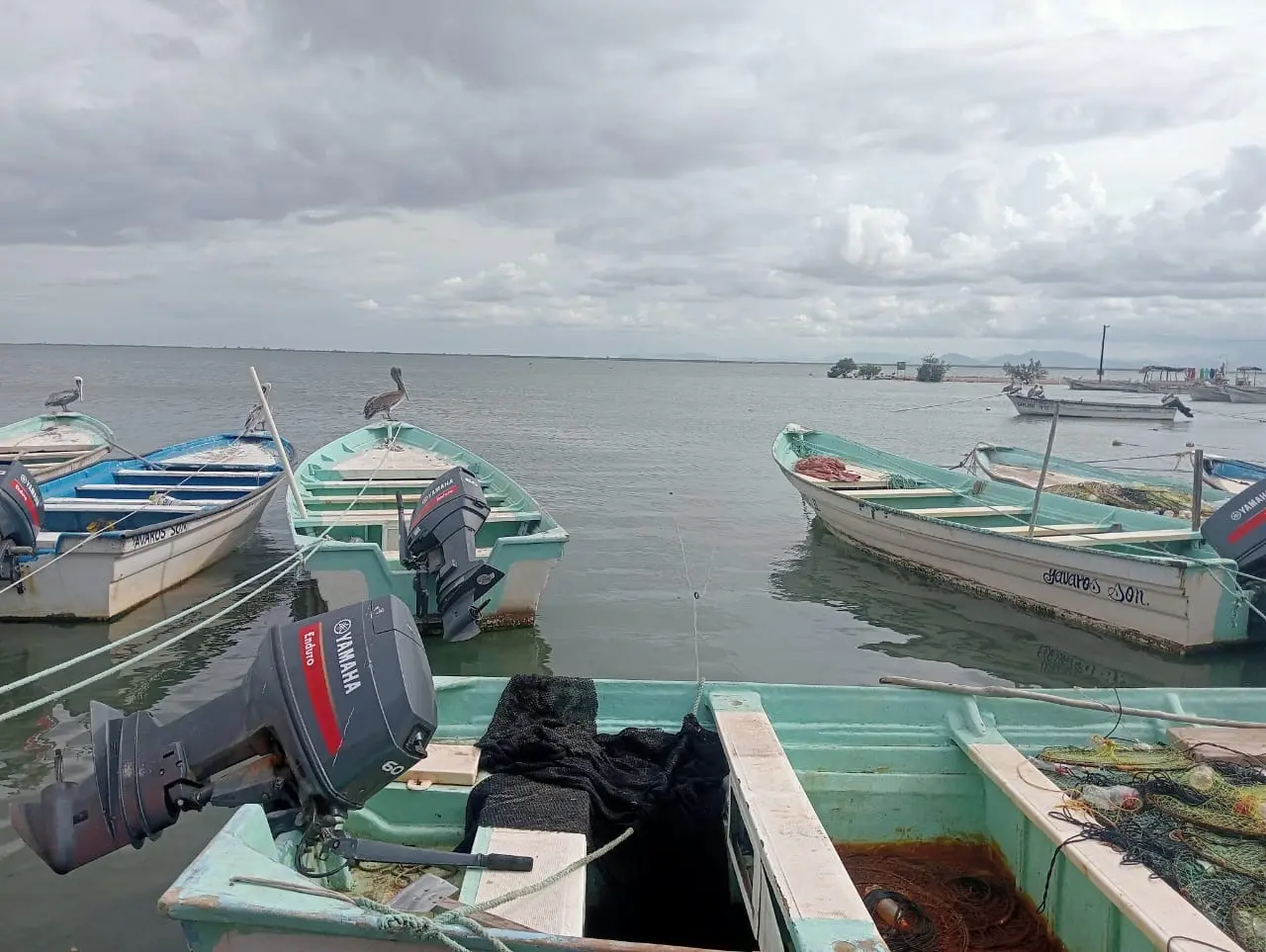 Ofrecen apoyos a pescadores del sur de Sonora