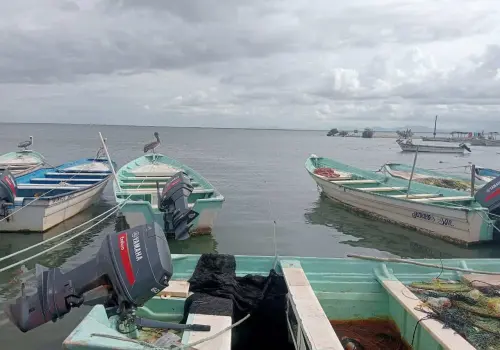 Ofrecen apoyos a pescadores del sur de Sonora