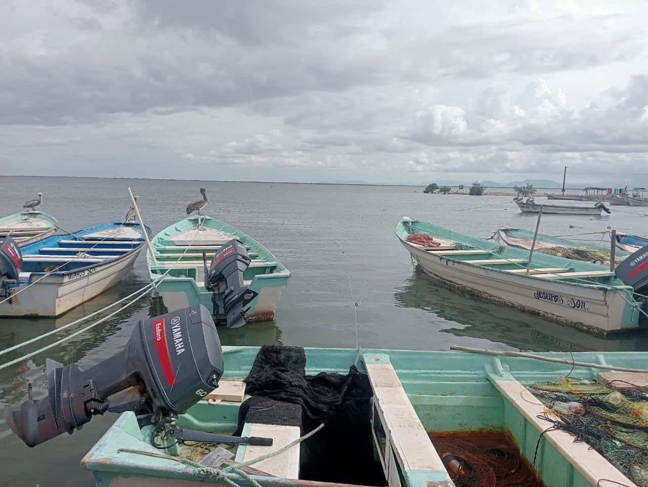 Ofrecen apoyos a pescadores del sur de Sonora