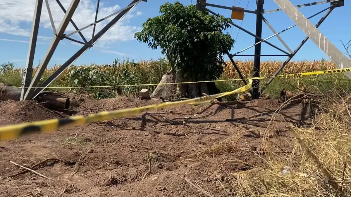 Identifican a uno de los 26 cuerpos desenterrados en la fosa clandestina del Valle del Yaqui