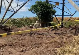 Identifican a uno de los 26 cuerpos desenterrados en la fosa clandestina del Valle del Yaqui