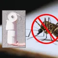 ¡Olvídate de los mosquitos! Este truco viral con papel higiénico ayuda a eliminarlos de tu casa