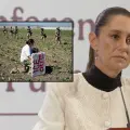 Sheinbaum condena redadas en campos agrícolas en California y anuncia más recursos para los consulados