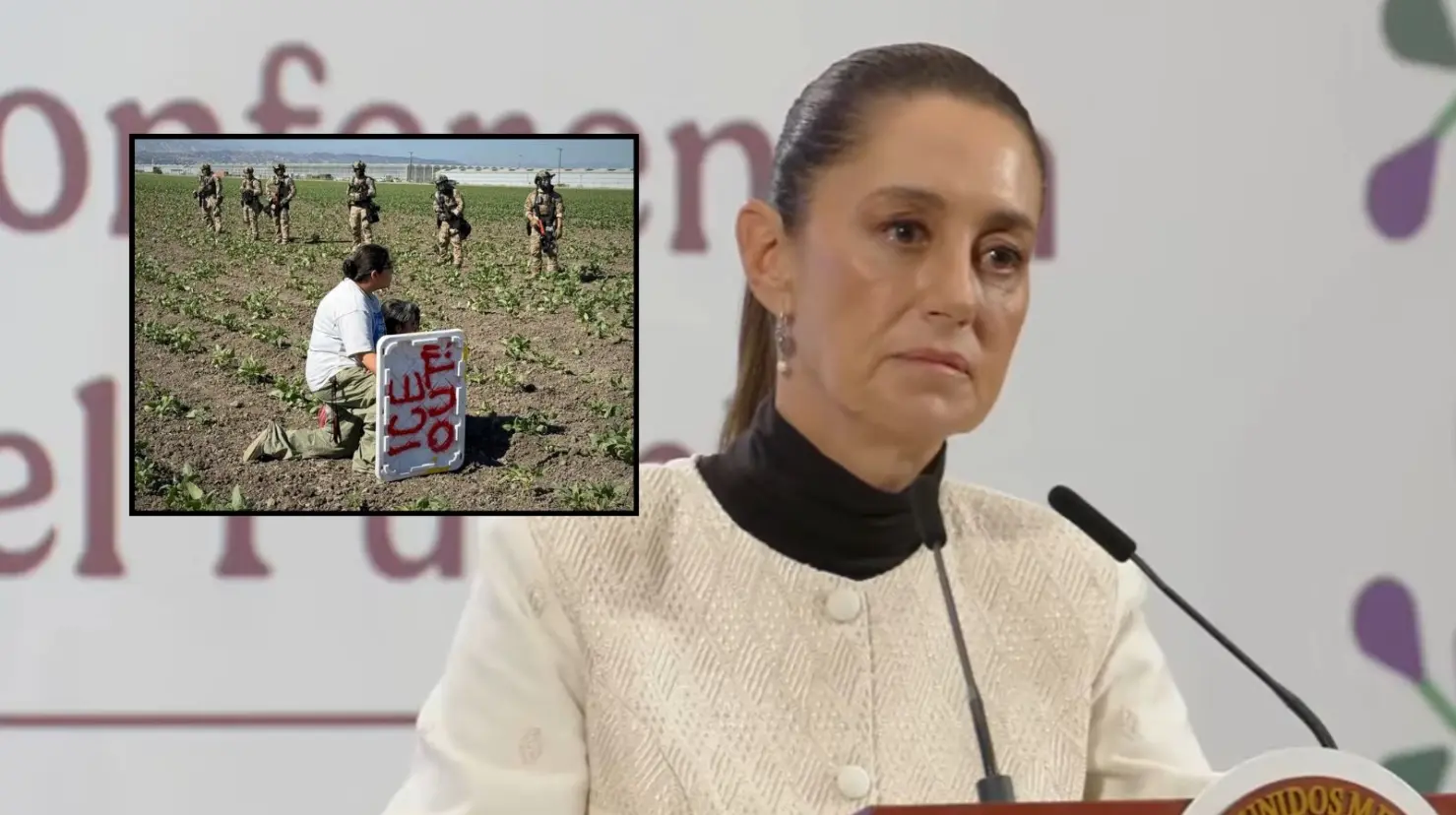 Sheinbaum condena redadas en campos agrícolas en California y anuncia más recursos para los consulados