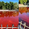 Fuente del parque Madero amaneció teñida de rojo: presunto acto de protesta por feminicidio múltiple en Hermosillo