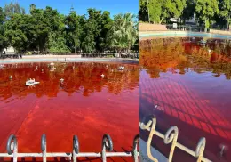 Fuente del parque Madero amaneció teñida de rojo: presunto acto de protesta por feminicidio múltiple en Hermosillo