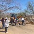Localizan dos cuerpos en el poblado Miguel Alemán