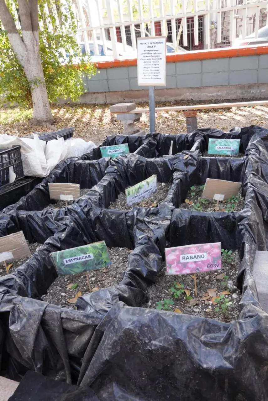 Cobach formará jóvenes con preparación ambiental en Obregón