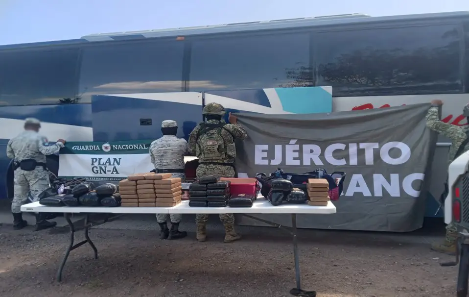 En Guaymas, decomisan droga en camión de pasajeros
