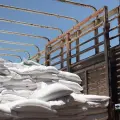 Llegan toneladas de alimento para ganado a Cajeme 