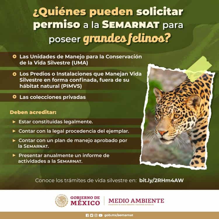 imagen-cuerpo imagen-cuerpo