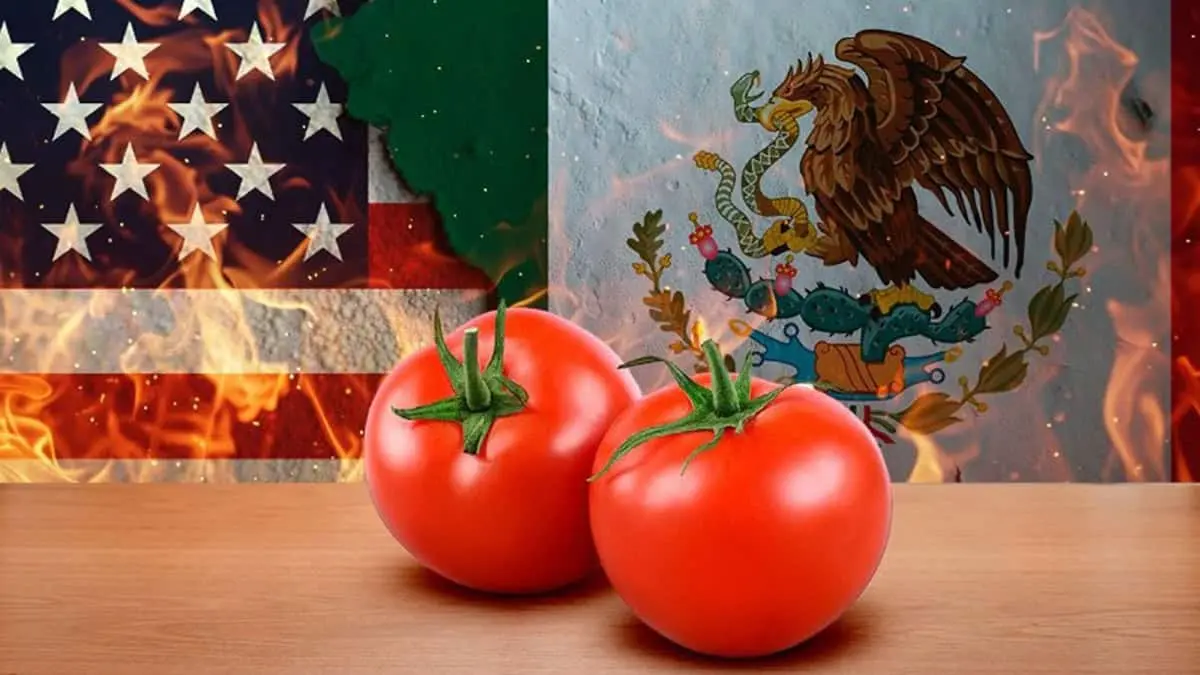 Exportarán tomate pese al arancel de EU