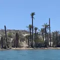 Impulsan modelo turístico regenerativo en la Isla Huivuilai para proteger manglares y biodiversidad