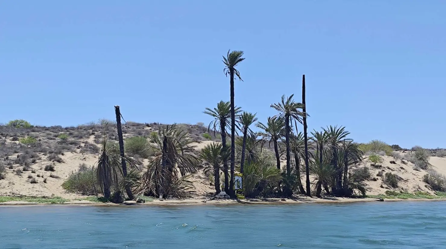 Impulsan modelo turístico regenerativo en la Isla Huivulai para proteger manglares y biodiversidad