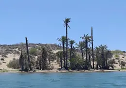 Impulsan modelo turístico regenerativo en la Isla Huivuilai para proteger manglares y biodiversidad