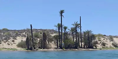 Impulsan modelo turístico regenerativo en la Isla Huivulai para proteger manglares y biodiversidad