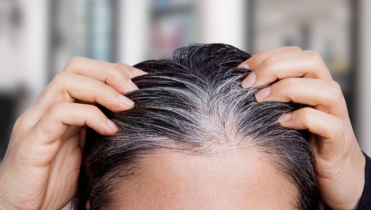 Así puedes disimular las canas con este peinado favorecedor y moderno