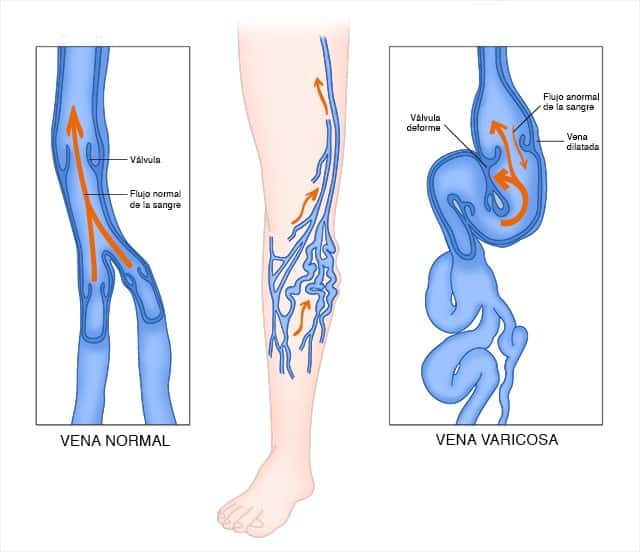 imagen-cuerpo imagen-cuerpo