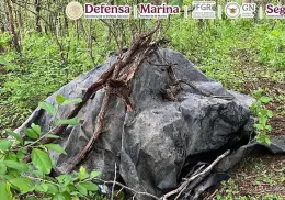 Autoridades aseguran en Culiacán cuatro áreas con materiales para la elaboración de metanfetamina
