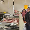Esperan mejore surtido de pescado con levantamiento de veda