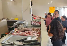 Esperan mejore surtido de pescado con levantamiento de veda