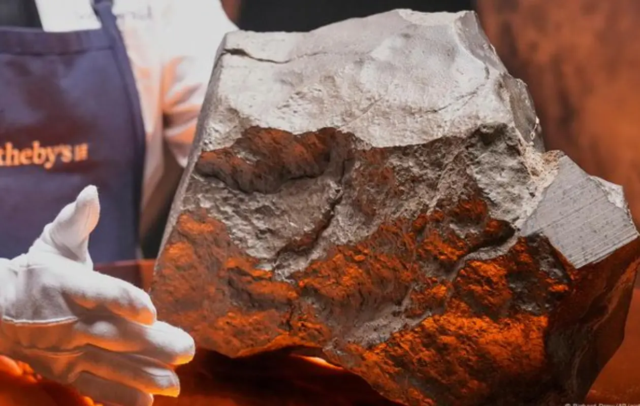 NWA 16788 es una shergottita olivino-microgabróica, una rara roca marciana de grano grueso, compuesta por minerales como piroxeno y olivino.