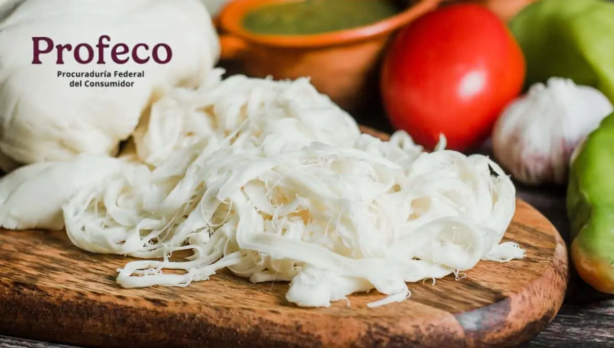 Descubre los mejores quesos oaxaca / Canva