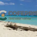 ¿Cuáles son las playas que Cofepris determinó como NO aptas para vacacionar?