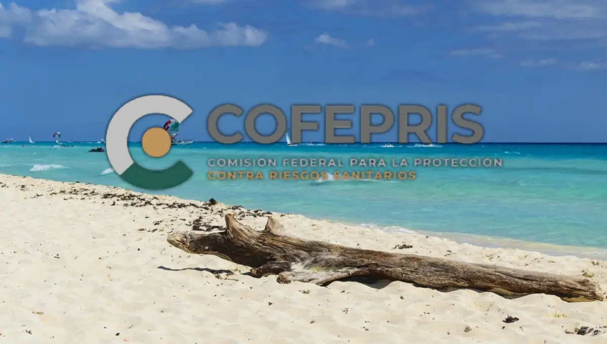 Cofepris revela las playas que no son aptas para vacacionar. Foto: Original