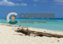 ¿Cuáles son las playas que Cofepris determinó como NO aptas para vacacionar?