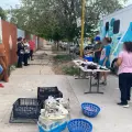 Llaman a esterilizar mascotas y animales callejeros en Ciudad Obregón