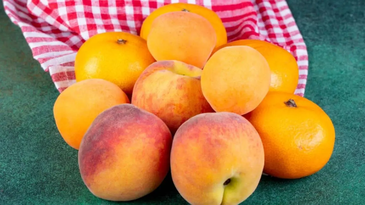¿Es el durazno la fruta ideal para controlar el azúcar en sangre? Esto dicen los nutriólogos