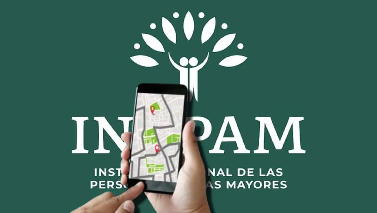 Módulos del Inapam en la CDMX para hacer el trámite de la credencial. Foto: Original