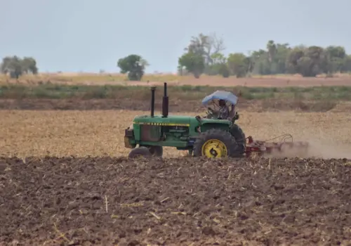 Incierto panorama para la agricultura