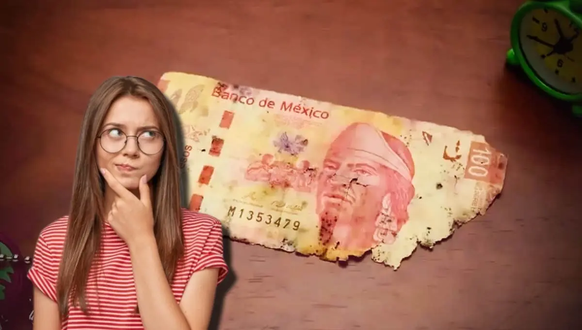Banxico señala si un billete roto o rayado es válido o no. Foto: Original
