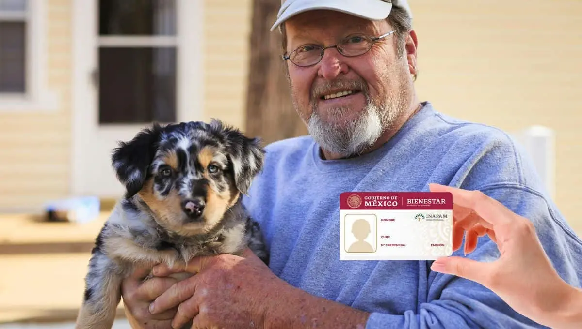 Descubre las veterinarias con descuento / Pexels, PNGWing