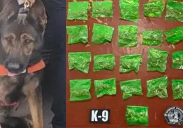 Decomisan 25 envoltorios de hierba en Hermosillo gracias a perro antidrogas