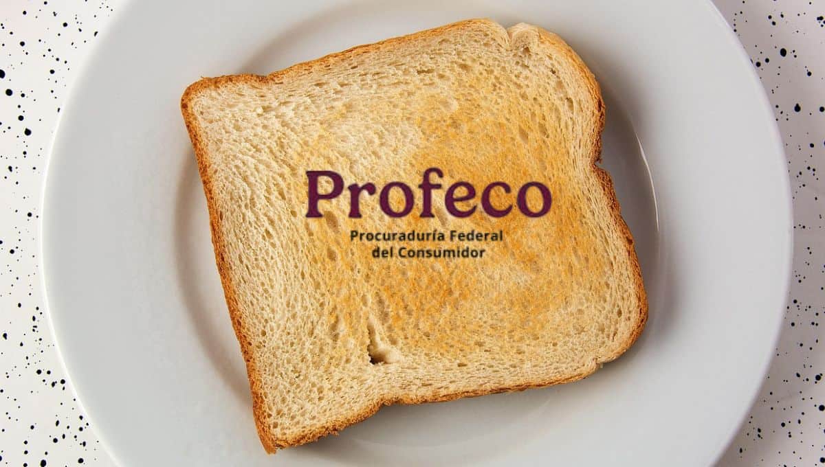 Profeco: estos son los panes de caja que debes consumir y los que debes evitar